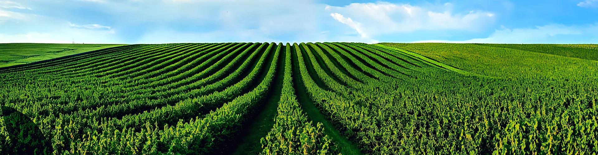 Professional Fertilizer Banner
