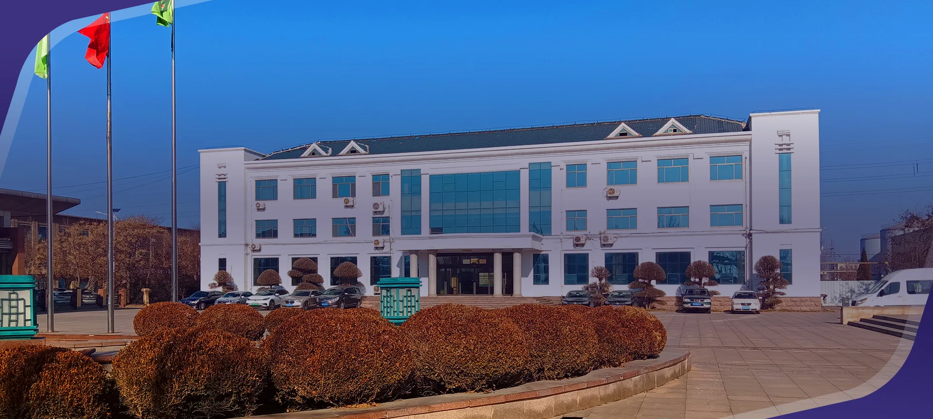 Shandong Deasing Biological Technology Co., Ltd.