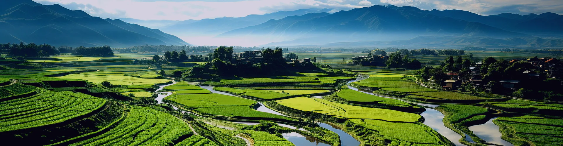 About Shandong Deasing Biological Technology Co., Ltd.